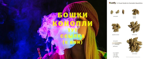 ПСИЛОЦИБИНОВЫЕ ГРИБЫ Абаза
