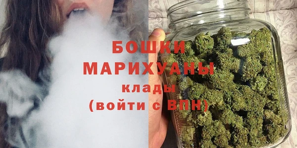 ПСИЛОЦИБИНОВЫЕ ГРИБЫ Абаза