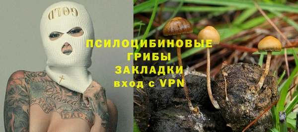 ПСИЛОЦИБИНОВЫЕ ГРИБЫ Абаза