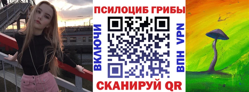 блэк спрут онион Тарко-Сале Галлюциногенные грибы GOLDEN TEACHER